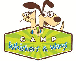 Colorado Springs summer camps